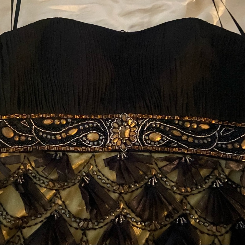 Sue Wong Black and Gold Dress - Picture 4 of 5